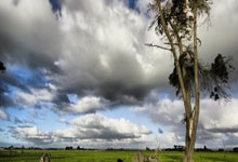 球探网官网：冠军未来篇｜田方然：成功不止一种方式.