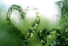 保龄球世界杯 新加坡选手吴加利和陈诗静摘单人赛铜牌.