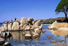 [CBA]总决赛5月20日：新疆VS辽宁 赵继伟集锦.